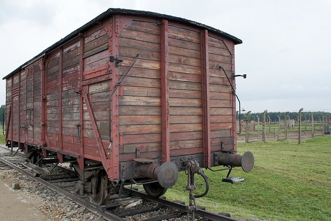 Auschwitz-Birkenau Live Guided Tour and Transfer From Krakow - Guided Tour and Accessibility