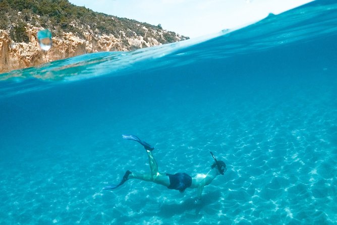 Boat and Snorkeling in West End (Blue Channel, The Aquarium, Turtle Crossing) - Exploring the Vibrant Aquarium