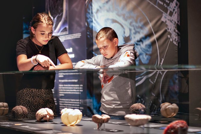 Body Worlds Amsterdam Fast-lane Ticket - Visitor Experience and Reviews