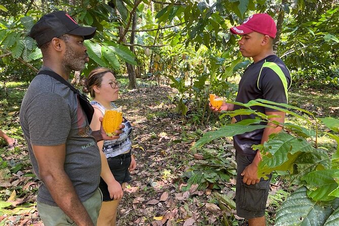Bribri Magic Chocolate and Waterfall Experience - The Chocolate-Making Process