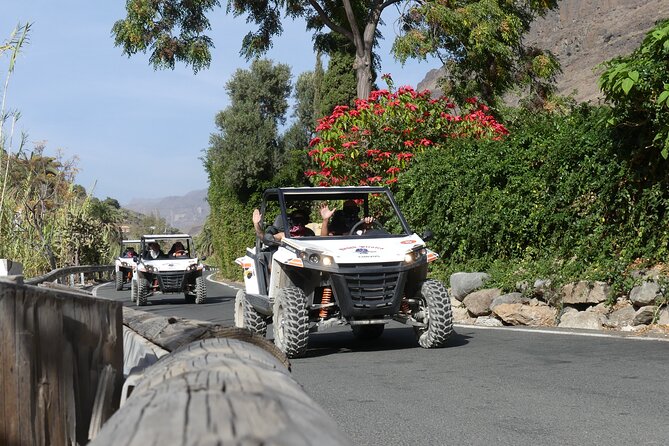 Buggy Tour Gran Canaria - Tour Highlights and Activities