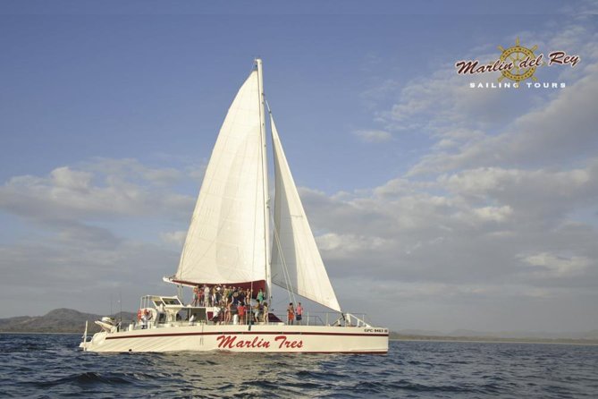 Catamaran Snorkeling & Sunset Sailing Tour - Experience Highlights