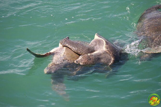 Catamaran Tour Manuel Antonio - Inclusions