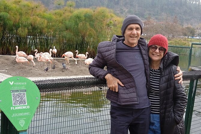 City Tour by Santiago of Chile -A Beautiful Experience - Half Day - Tour Experience and Guide Feedback