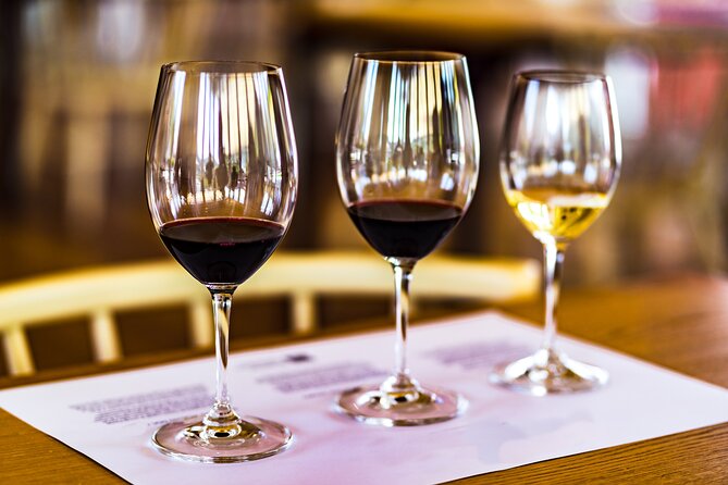 Douro Valley: Historical Sites, Wine Experience, Lunch & Cruise - Taking in the Douro Valley Landscape