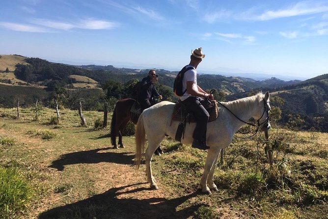 Exclusive Horse Experience With Pic-Nic at Belvedere - Location and Accessibility
