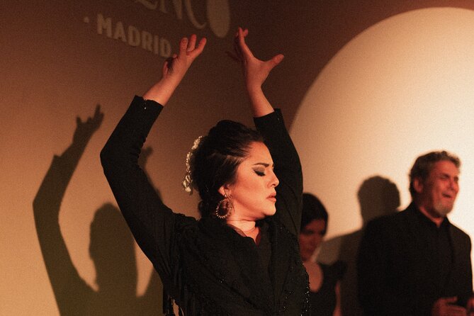 Flamenco Cultural Center Madrid Admission Ticket - Authentic Flamenco Experience