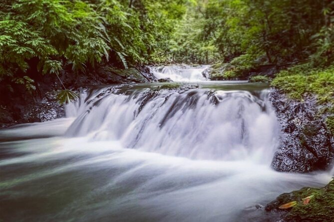 Full-Day Adventure in Corcovado National Park From Drake Bay - Tour Details
