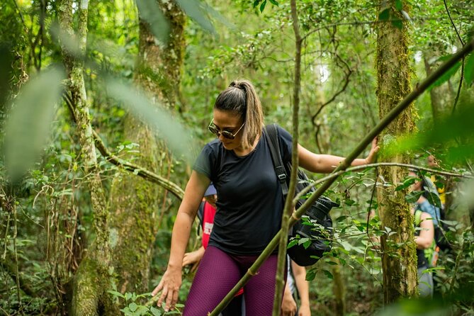 Full Day Hike Through Secret Waterfalls in Foz Do Iguaçu - Experience Details