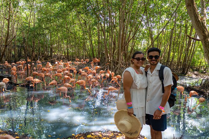Full-Day Tour Isla Baru - National Aviary of Colombia and Playa Blanca - Inclusions