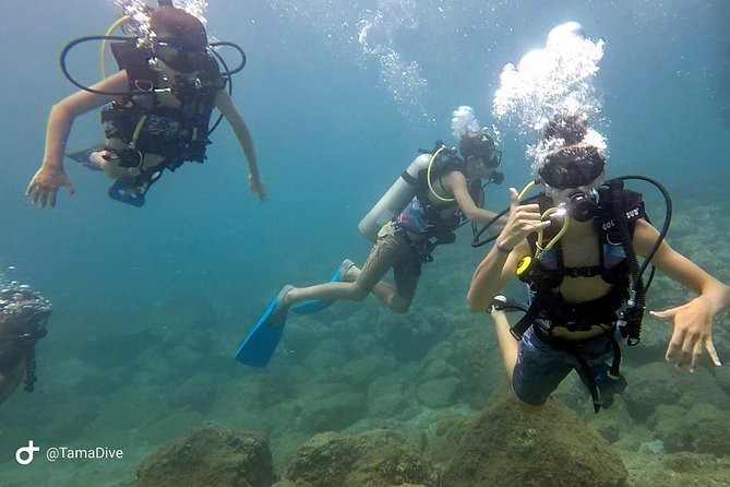 Fundive Catalina Islands (2 Dives Only for Certified Divers) - Included Amenities