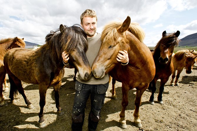 Icelandic Horseback Riding Tour Including Pick up From Reykjavik - Meeting and Pickup