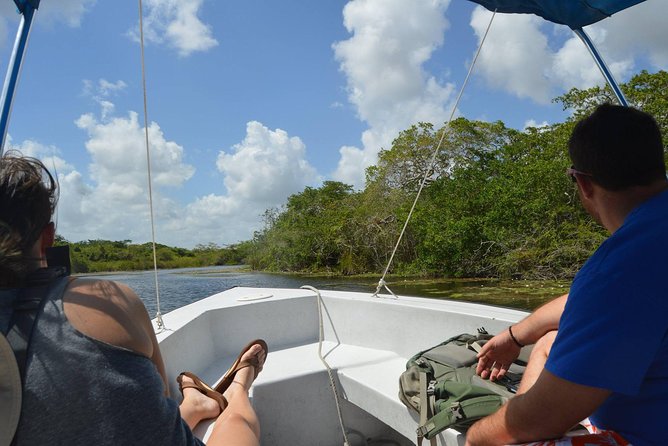 Lamanai Temples, River Cruise, Howler Monkeys, Birdwatching. - Exploring the Ancient Mayan Ruins