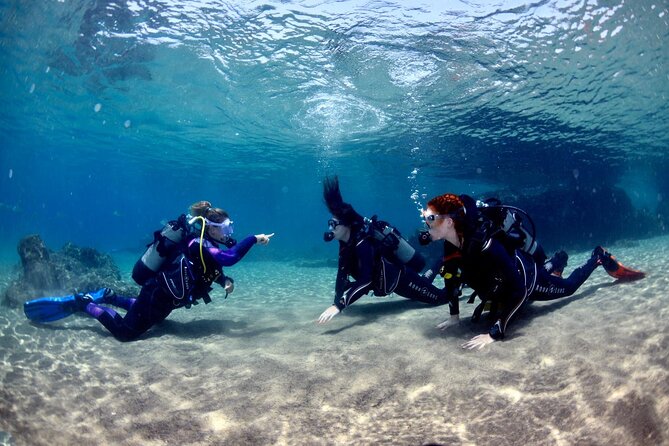 Lanzarote Introductory Scuba Diving Experience - Included Gear and Requirements
