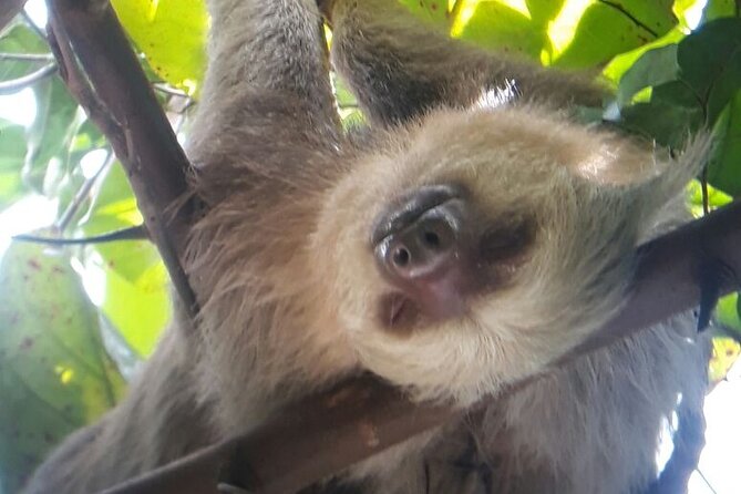Manuel Antonio National Park Hiking Guided Tour - Traveler Reviews