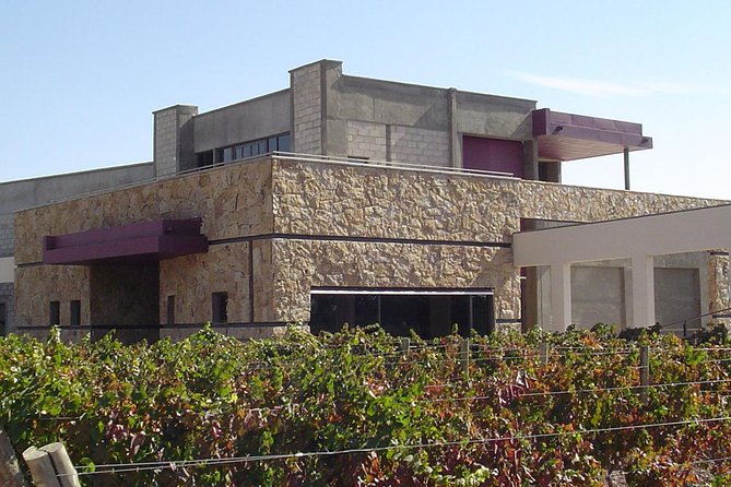 Mendoza Wine Tour With Lunch - Tour Highlights