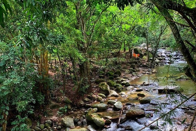 Minca - Coffee And Cocoa Tour - Hike and Exploration