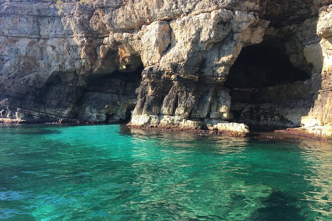 Polignano a Mare Boat Tour Emotions, Caves, Diving and Appetizers - The Scenic Coastline and Grottoes