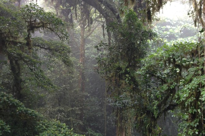 Private Natural History Walk by Pasión Costa Rica - Tour Details and Logistics