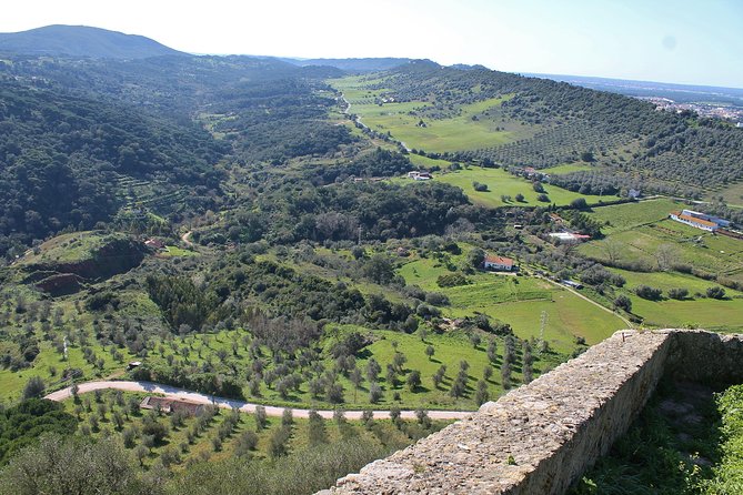 Private Wine Tasting in the Setúbal Wine Region, From Lisbon - What to Expect