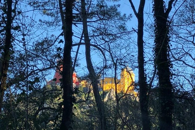 Sintra Cabo Da Roca Cascais Estoril Private Tour - Traveler Reviews and Experiences