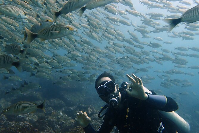 Try Scuba Diving / Basic Diver - Scuba Diving Course Overview