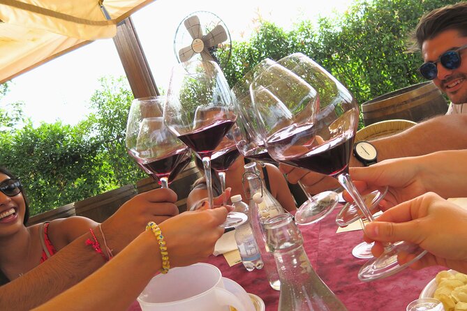 Tuscany Wine Tour & San Gimignano From Florence - Inclusions