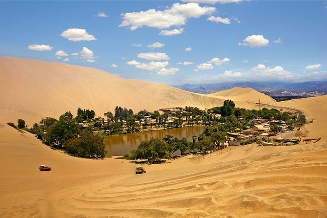 Wine, Pisco and Dune Buggy Experience - Winery and Pisco Tasting
