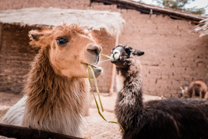 2-Day Tour: Sacred Valley and Machu Picchu by Train - Urubamba and Ollantaytambo