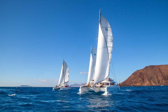 4-Hour Sailing Tour of Lobos Island From Fuerteventura - Tour Capacity and Accessibility