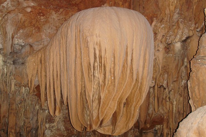 Actun Tunichil Muknal Cave With Local Lunch From San Ignacio - Inclusions and Logistics