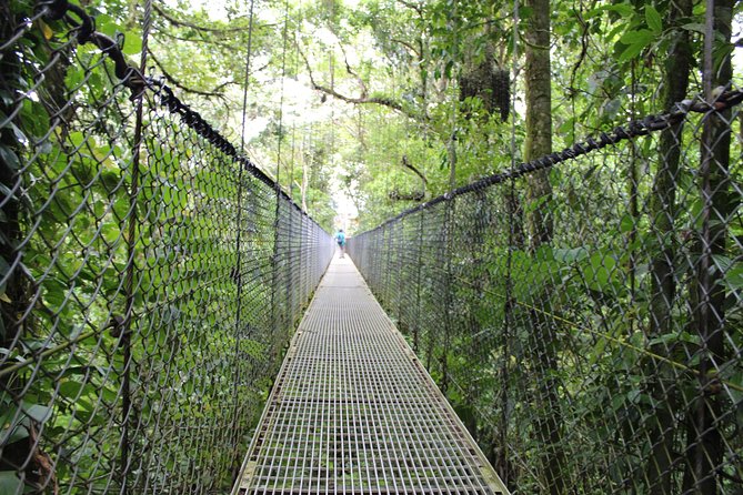 Arenal Volcano and Hot Springs Day Trip From Guanacaste - Guided Hike Around Arenal Volcano