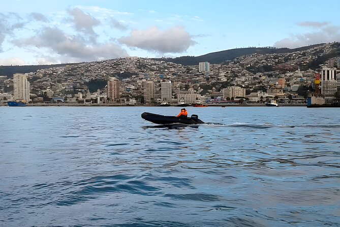 Best of Valparaiso - Vina Del Mar and Casablanca Valley Tour - Funicular Ride in Vina Del Mar