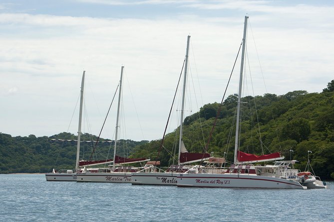 Catamaran Snorkeling & Sunset Sailing Tour - Meeting and Pickup Information