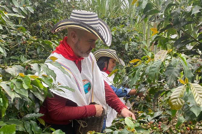 Coffee Tour in Medellín With Tastings and Transportation - Physical Fitness Level