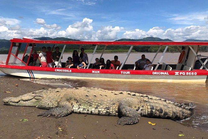 Crocodile Man Tour THE ORIGINAL - Guided Tour Experience and Information