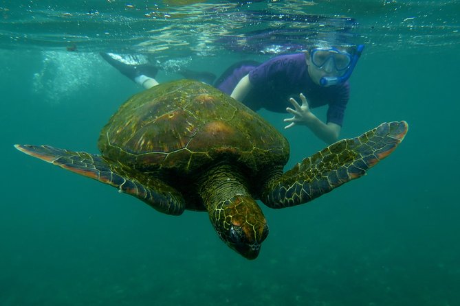 Day Tour to Pinzón Island and La Fé/Palmitas Bay With Snorkeling and Fishing - Health and Accessibility