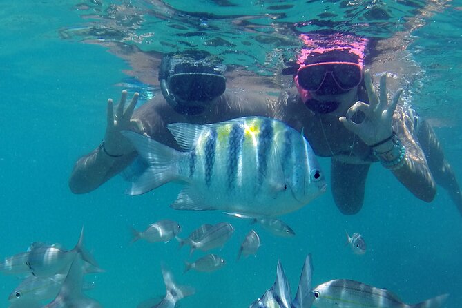 Diving in Maracajau (Catamaran Included) - From Christmas Van - Additional Information