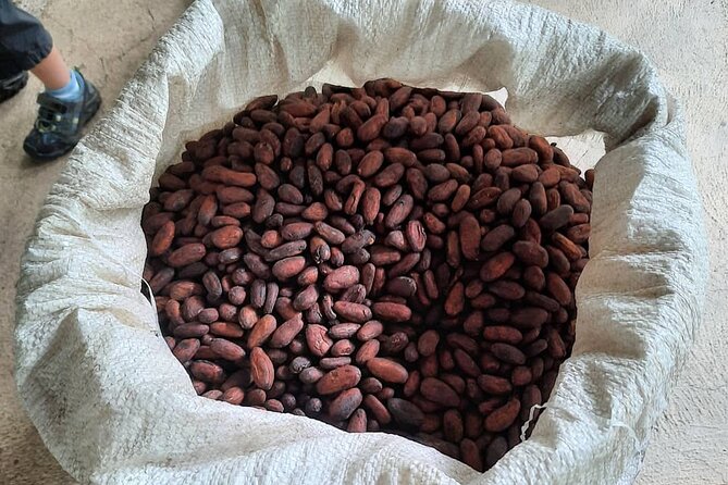 Don Olivo Chocolate Tour - Meeting Point and Directions