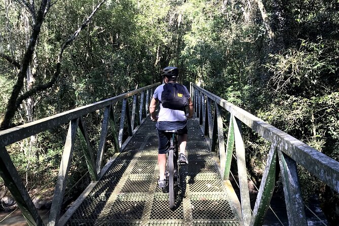Exclusive Bike Experience at Iguazu Falls - Spotting Wildlife
