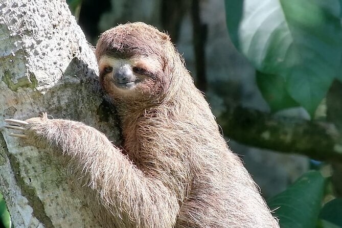 Full-Day Adventure in Corcovado National Park From Drake Bay - What to Expect on the Hike
