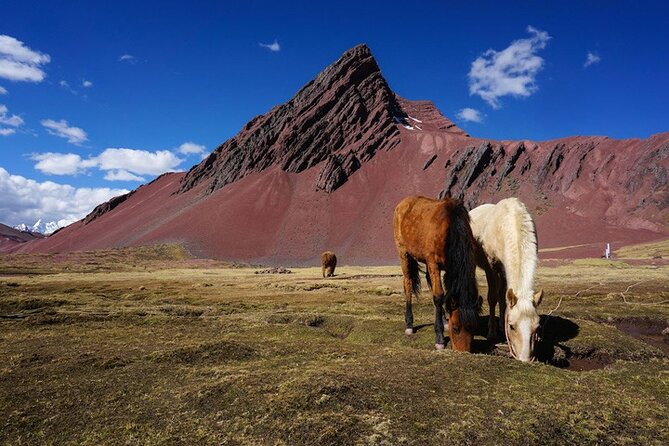 Full Day Rainbow Mountain Tour Vinicunca With Guide - Health and Safety