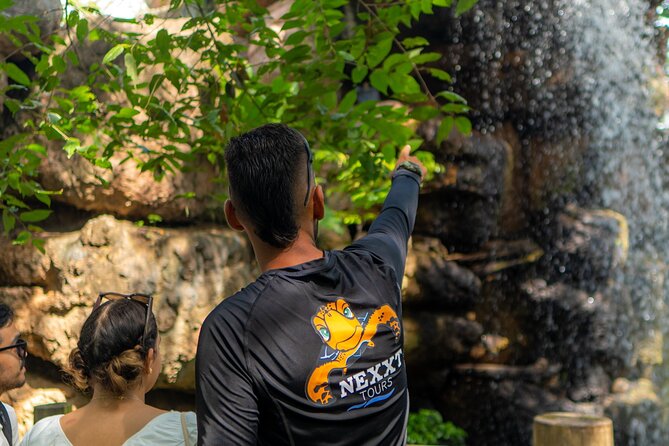 Full-Day Tour Isla Baru - National Aviary of Colombia and Playa Blanca - National Aviary Experience