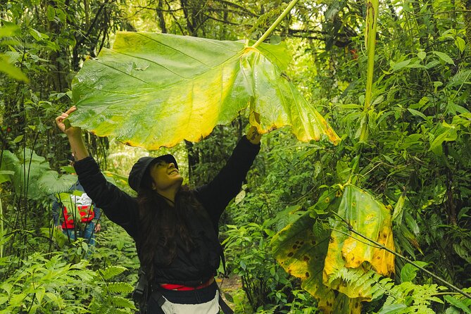 Hiking Medellin and Hidden Waterfalls - Navigating the Challenging Terrain
