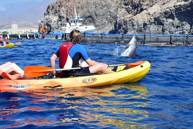 Kayaking With Dolphins and Turtles and Snorkelling in Tenerife - Participant Requirements