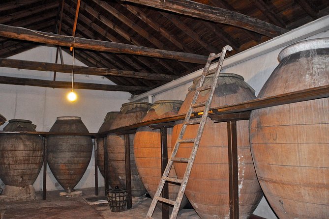 Madrid Countryside Wineries Guided Tour With Wine Tasting - Guided Insights and Recommendations