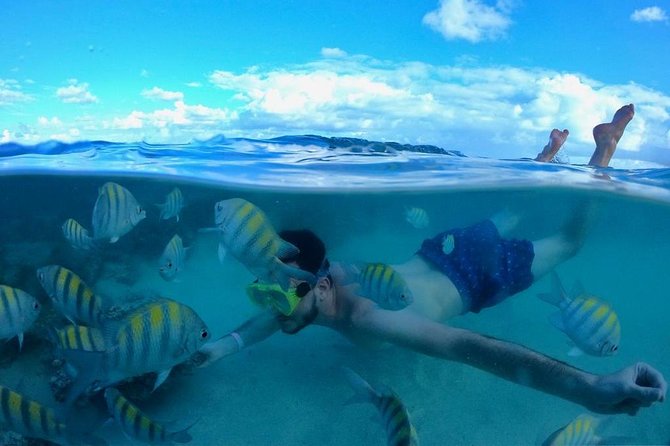 Maragogi - Private Tour Details