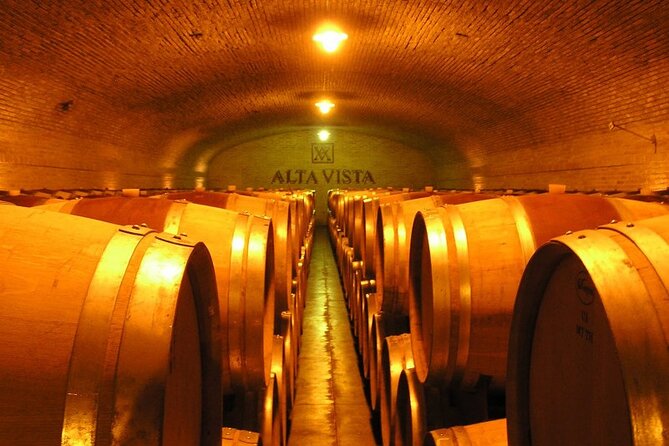 Mendoza Wine Tour With Lunch - Exploring Bodega Alta Vista and Lunch
