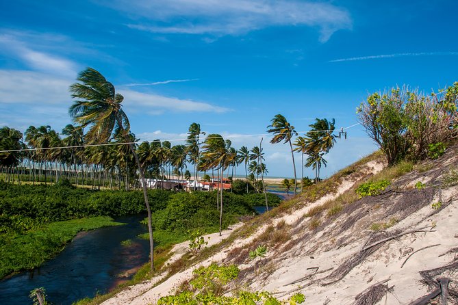 Perobas / RN Day Trip - Leaving Natal / RN - Boat Diving, Snorkeling, and Mask Activities