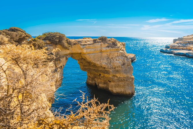 Portimão:Embark on Nature•Benagil and Dolphins•Biologist on Board - Dolphin and Cave Explorations